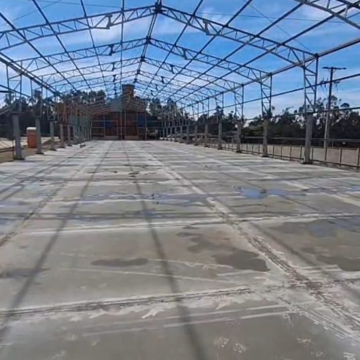 WhatsApp Image 2026-02-04 at 10.34.34