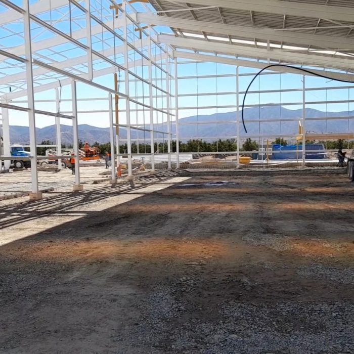 WhatsApp Image 2026-02-04 at 10.34.36 (1)