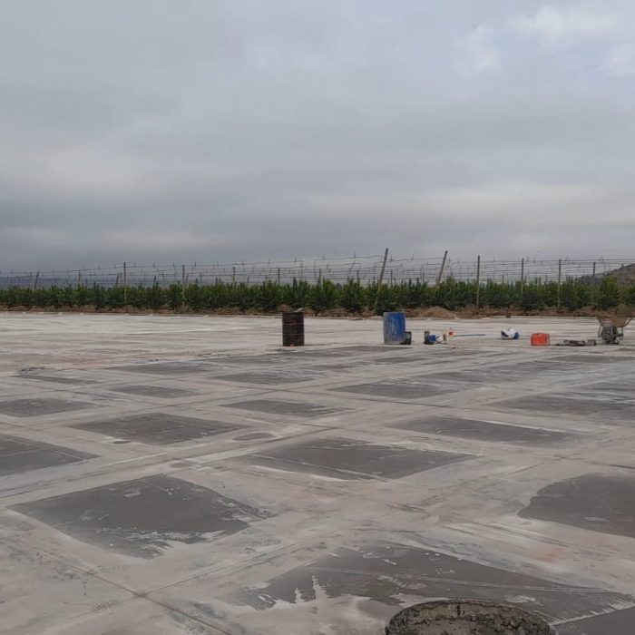 WhatsApp Image 2026-02-04 at 10.34.36 (2)